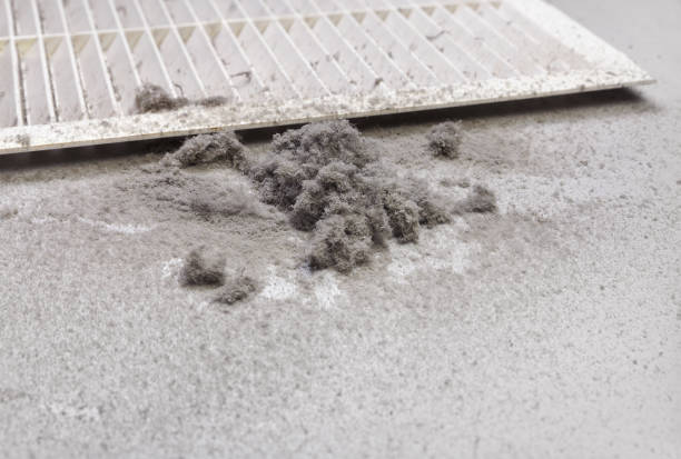 Best Duct Cleaning for Homes  in Chagrin Falls, OH